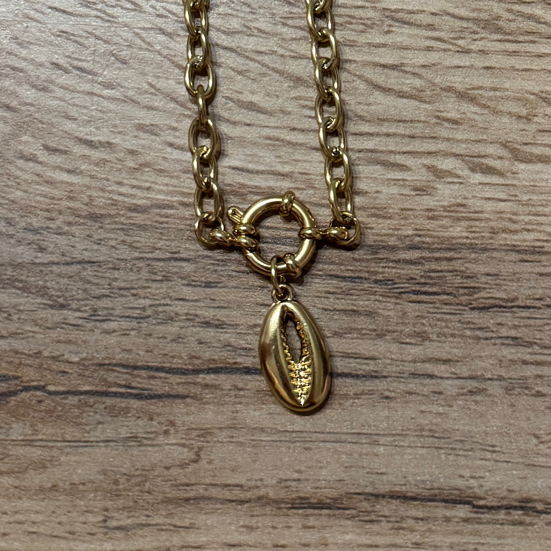 Golden Cowrie – Edelstahl Charm-Anhänger in Kauri-Optik