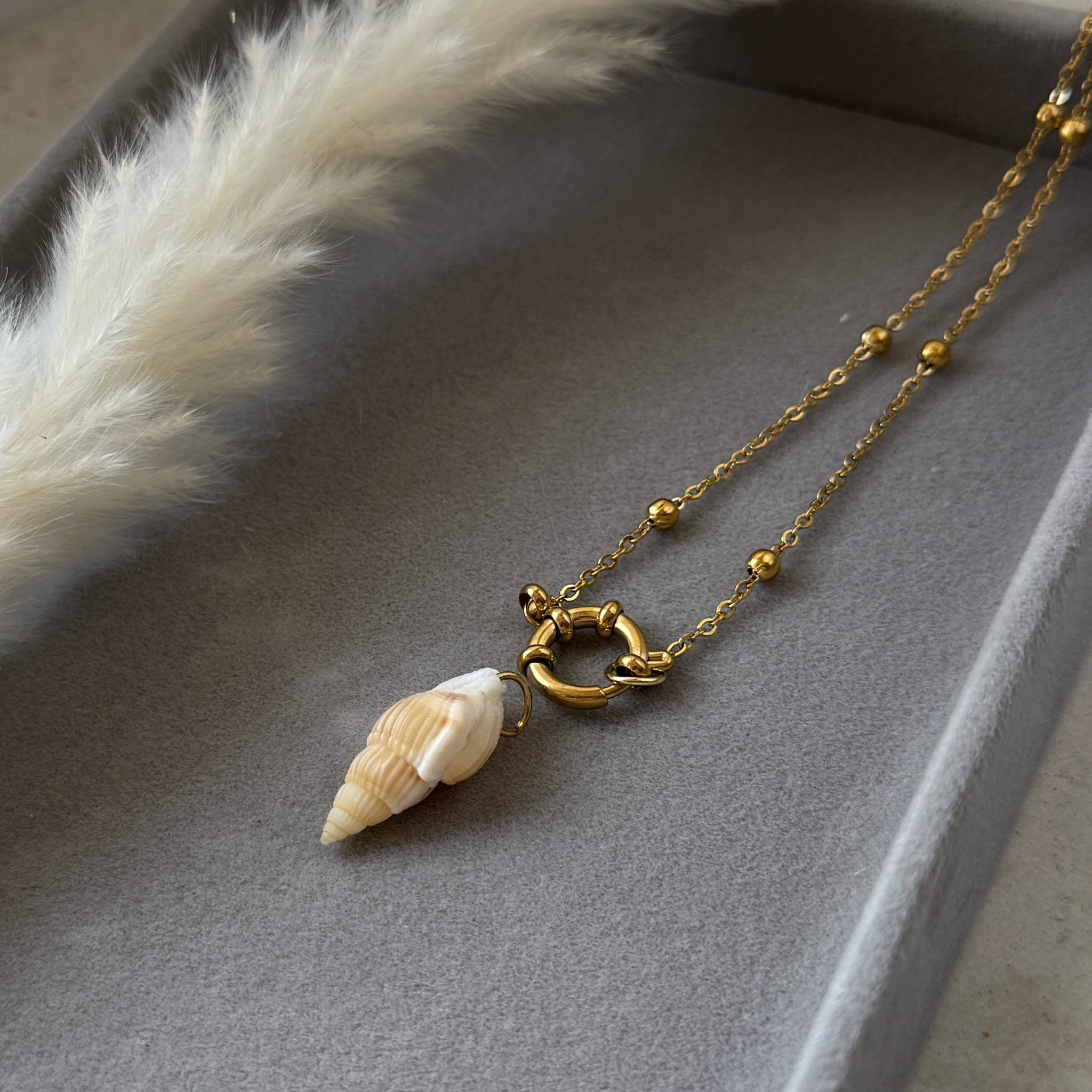 Sandy Shell – Naturmuschel-Anhänger beige gemustert | Gold