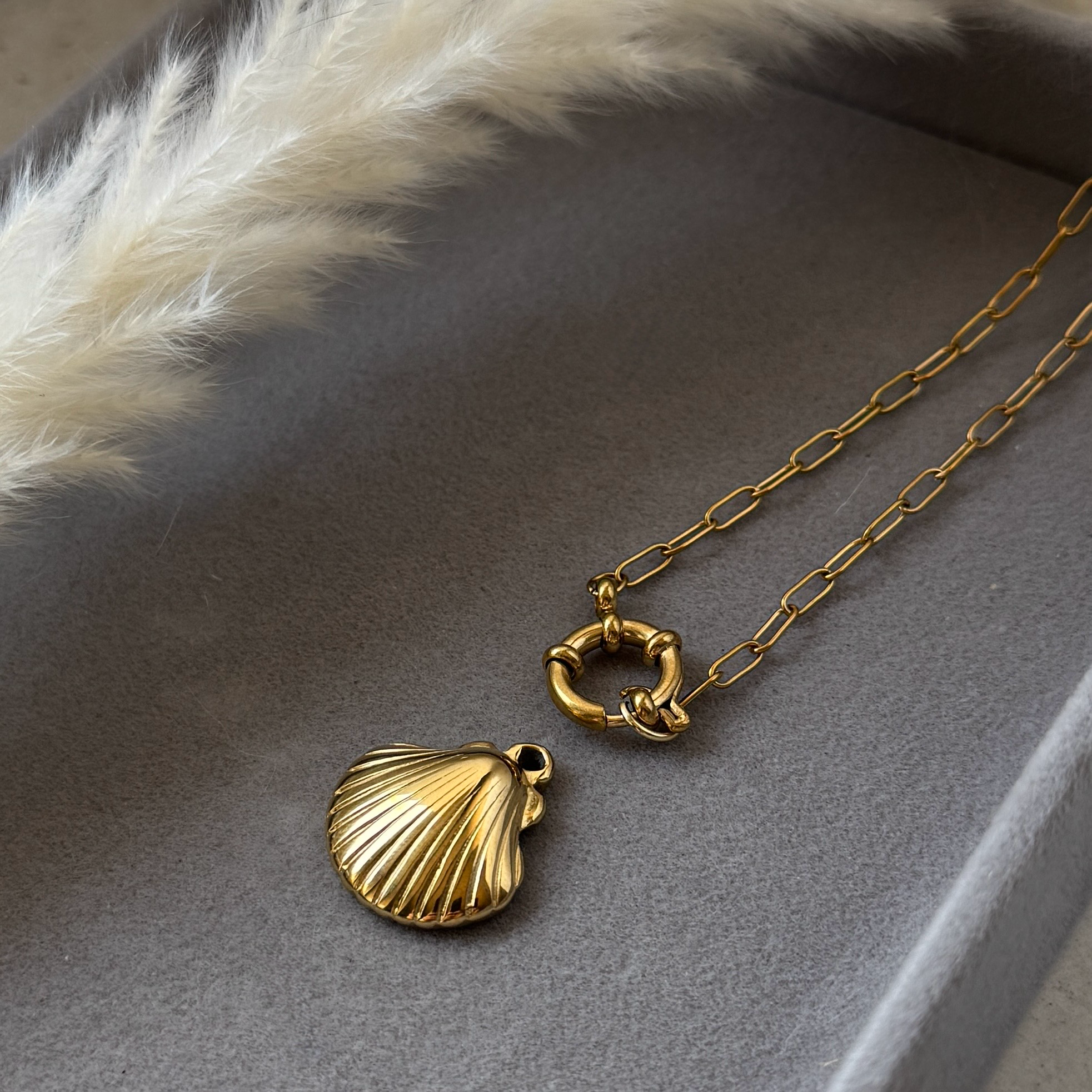 Oceana Shell – Muschel-Charm aus Edelstahl | Gold